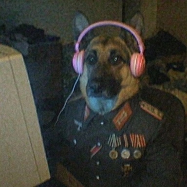 moderator