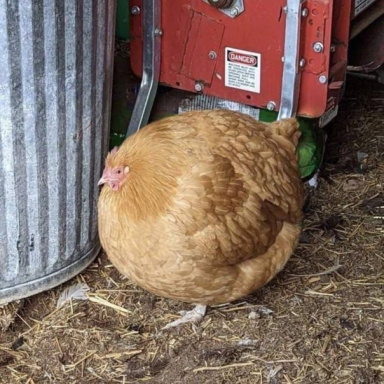 abobaaaaa