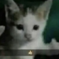 Temochka